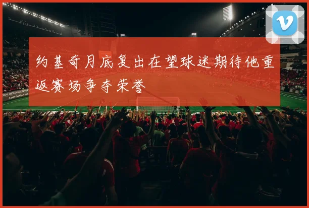 约基奇月底复出在望球迷期待他重返赛场争夺荣誉