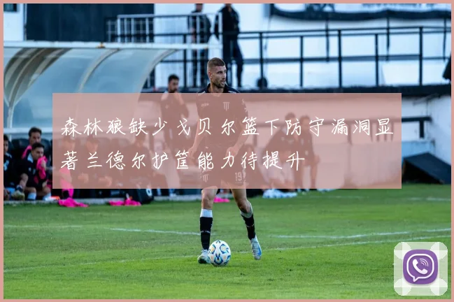 森林狼缺少戈贝尔篮下防守漏洞显著兰德尔护筐能力待提升