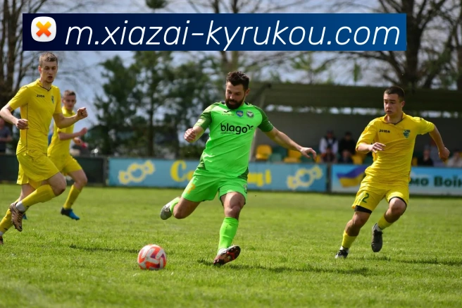 多媒体互动体验